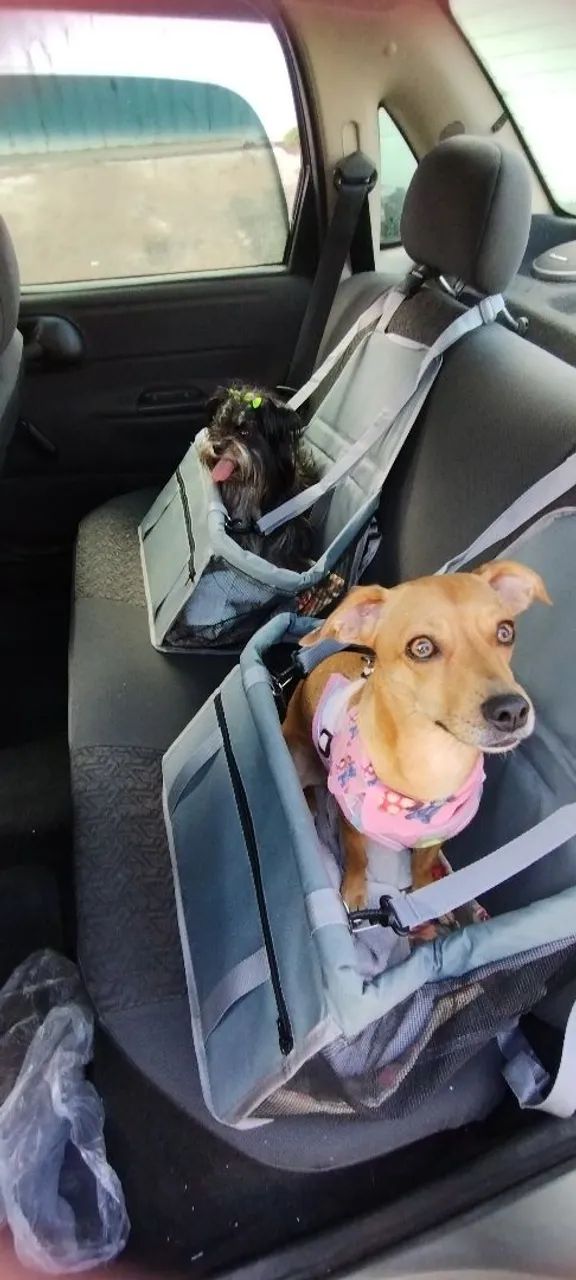 2 Cadeirinhas NOVAS  - Foto 5