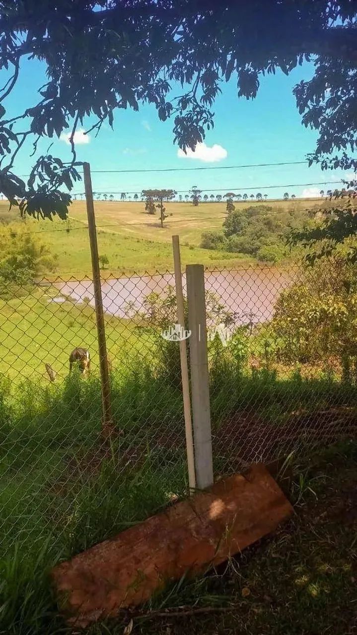 Sítio à venda, 60000 m² por R$ 1.250.000,00 - Lerroville - Londrina/PR - Foto 8