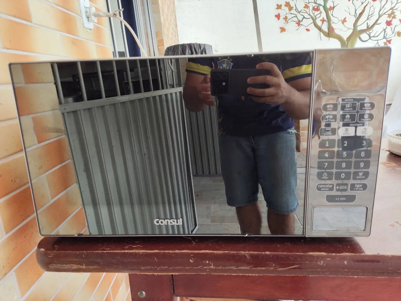 Microondas Consul,30 lts,110 volts, entrego e dou garantia 