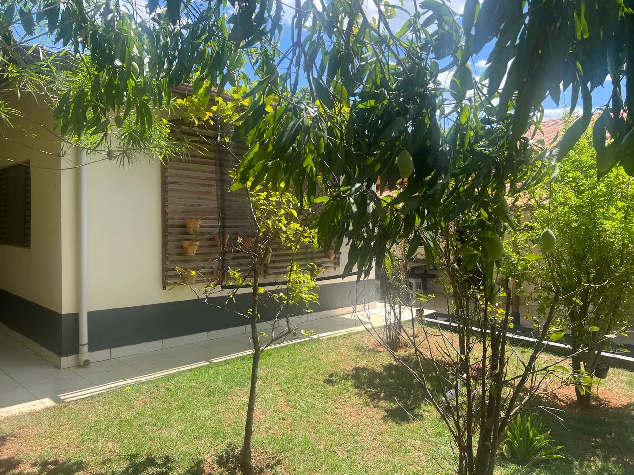 Chácara com muito verde. - Foto 4