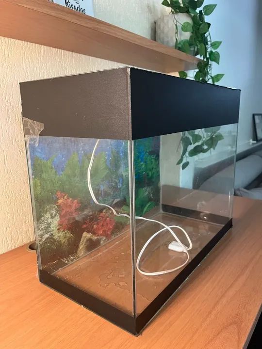 Aquário de vidro em ótimo estado - Foto 4
