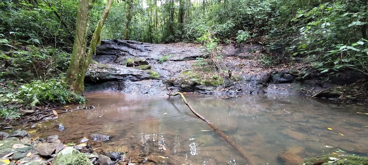 Sítio,com arroio, piscina natural,muita natureza 