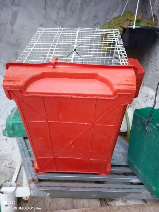  Vende se Gaiola para Roedores - Foto 3