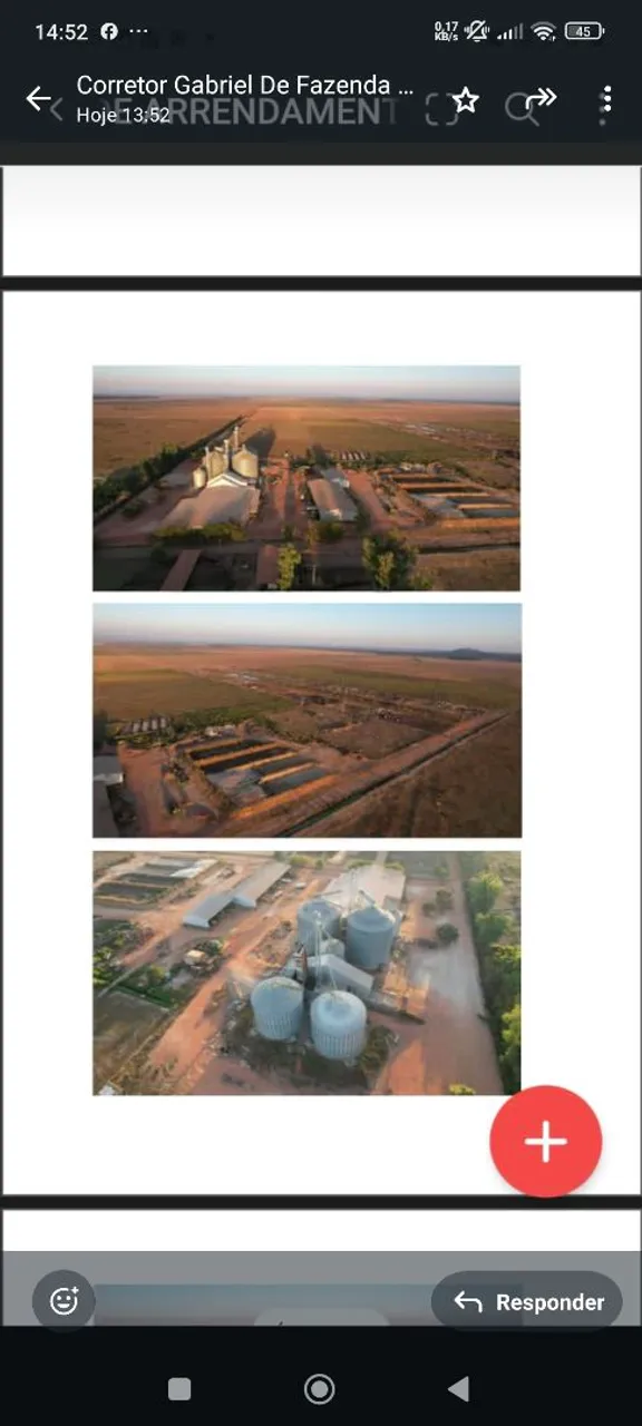 Fazenda de arrendamento 8.000 hec em pontes de Lacerda MT.
