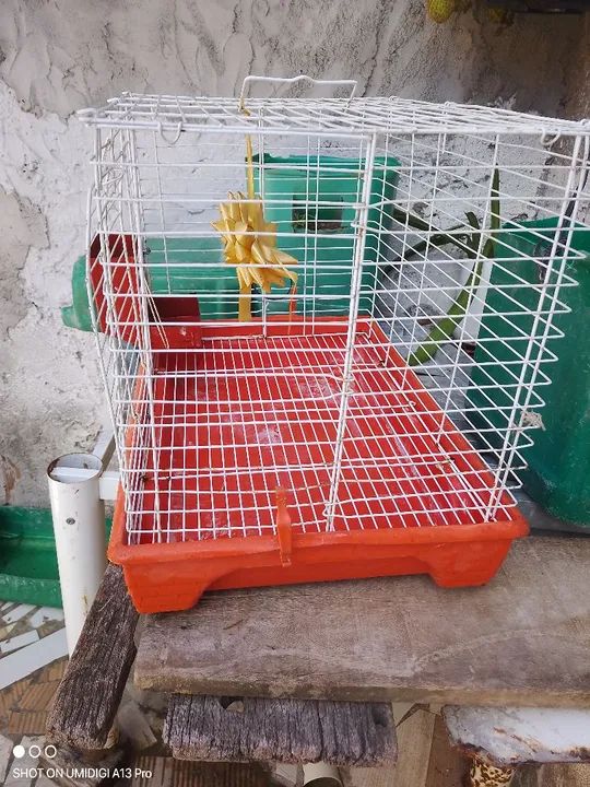  Vende se Gaiola para Roedores - Foto 6