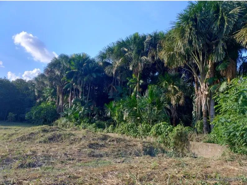 Vende-se terreno na Torquato Tapajós - Foto 2