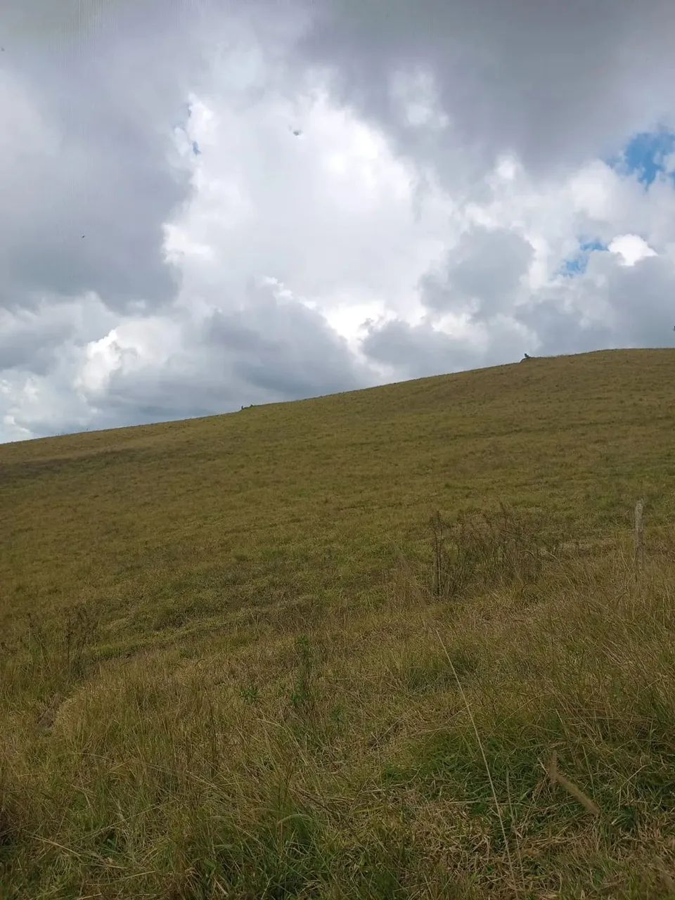 Imóvel para venda tem 91600 metros quadrados em Zona Rural - Camanducaia - MG
