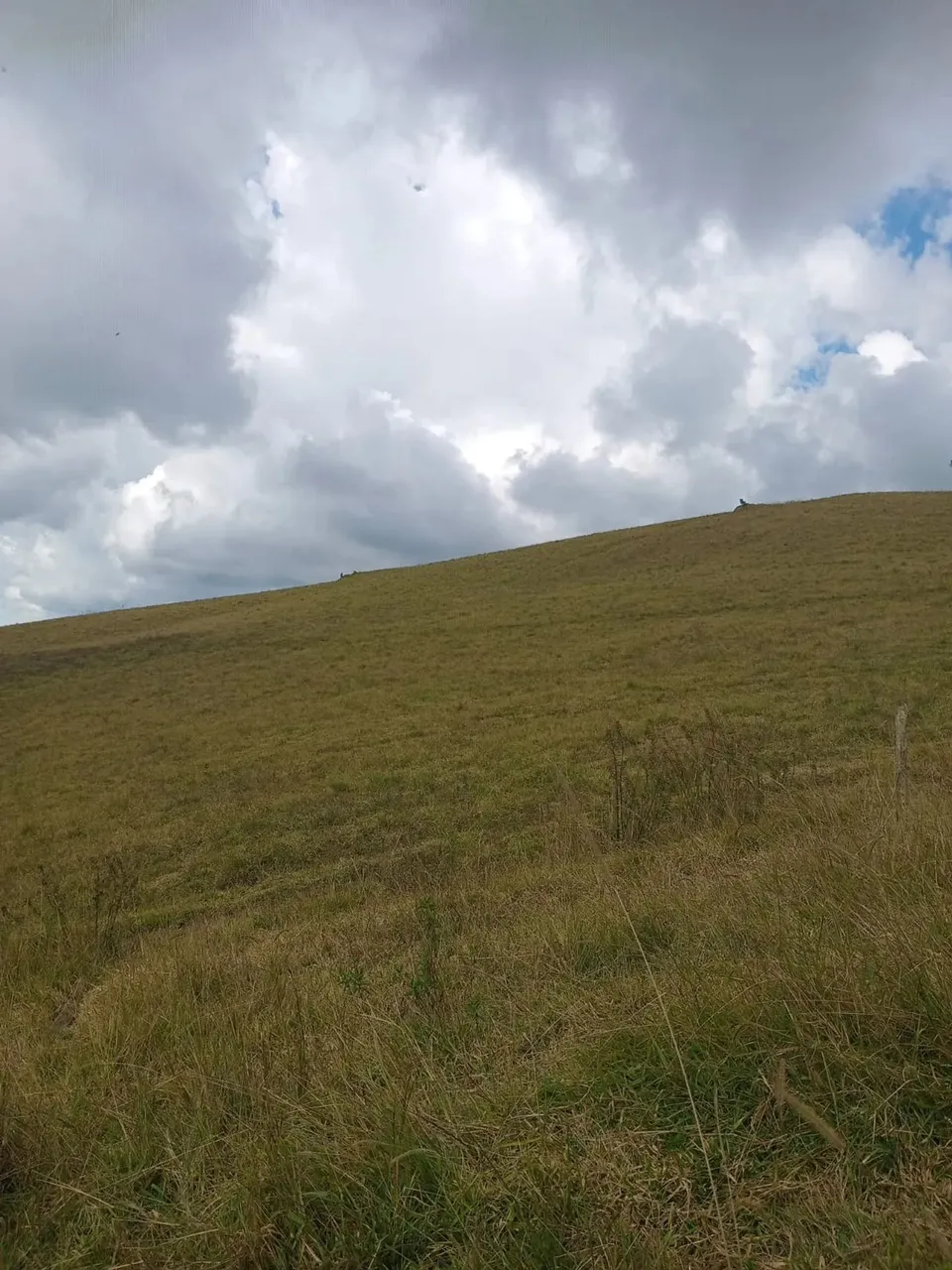 Imóvel para venda tem 91600 metros quadrados em Zona Rural - Camanducaia - MG