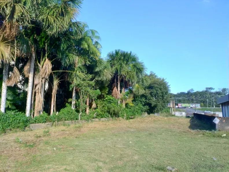 Vende-se terreno na Torquato Tapajós - Foto 4