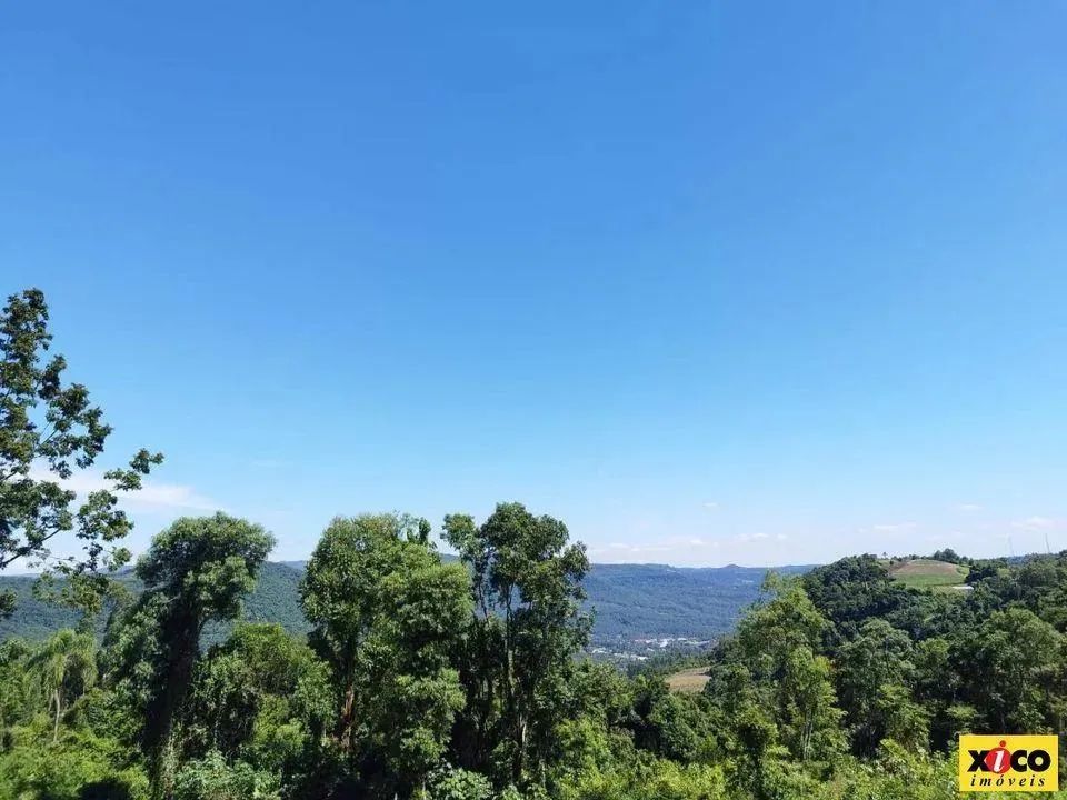 Sítio / Chácara para Venda em Nova Petrópolis, Linha Olinda - Foto 2