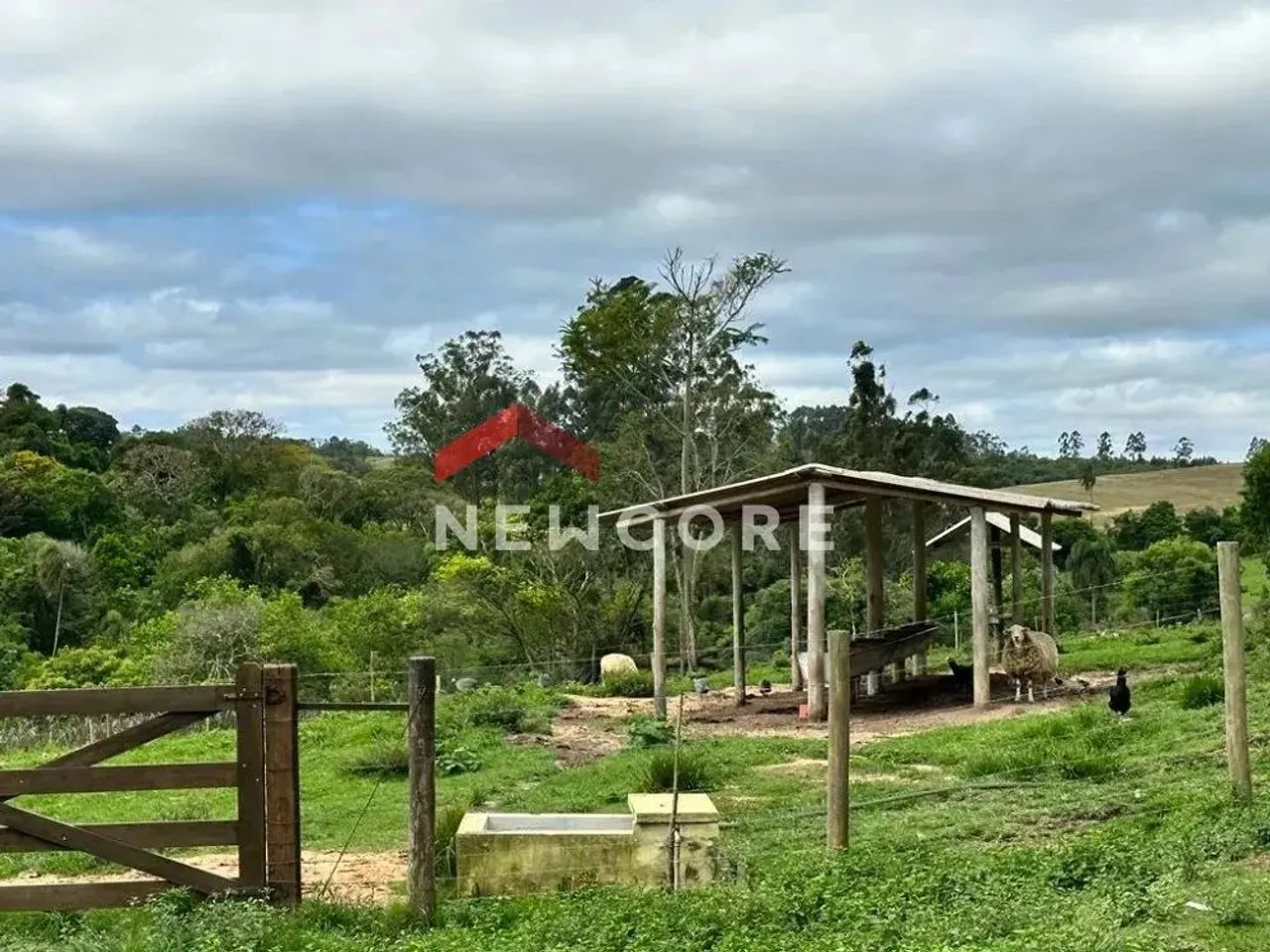 Chácara em Área Rural - Área Rural de Itapetininga - Itapetininga/SP - Foto 3