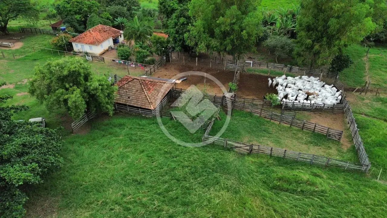 Caldazinha - Fazenda com 40 Alqueires codigo: 118399 - Foto 4