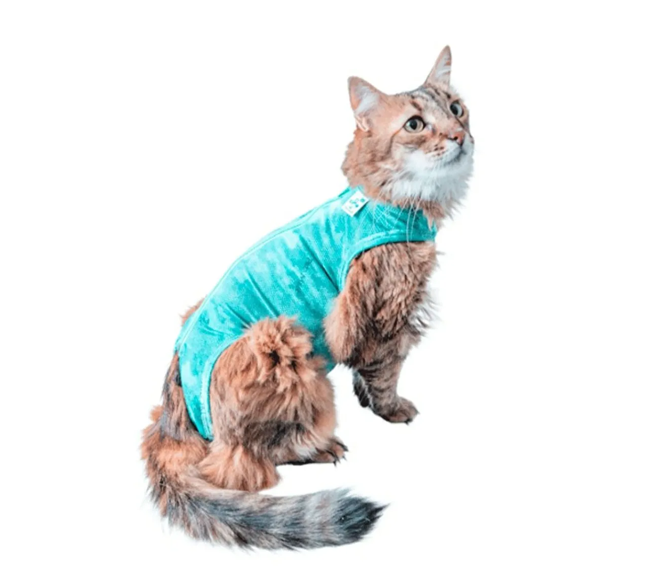 Roupa Pós-operatória para Gatos - Conforto e Proteção