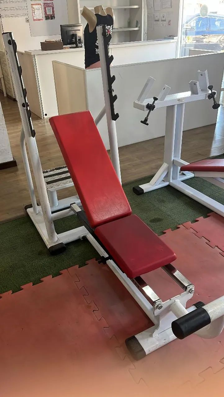 Supino Reclinável