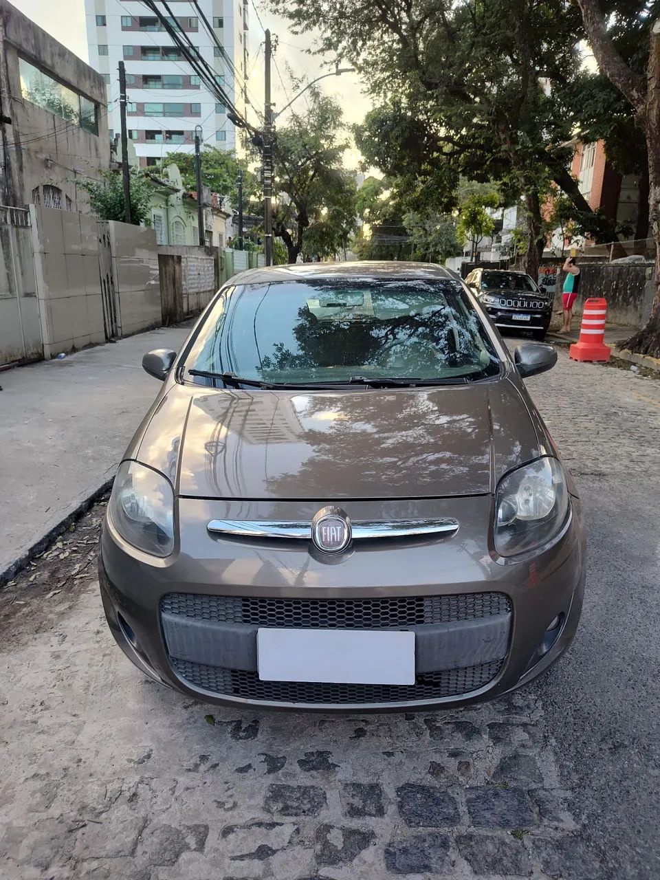 Fiat Palio 2014