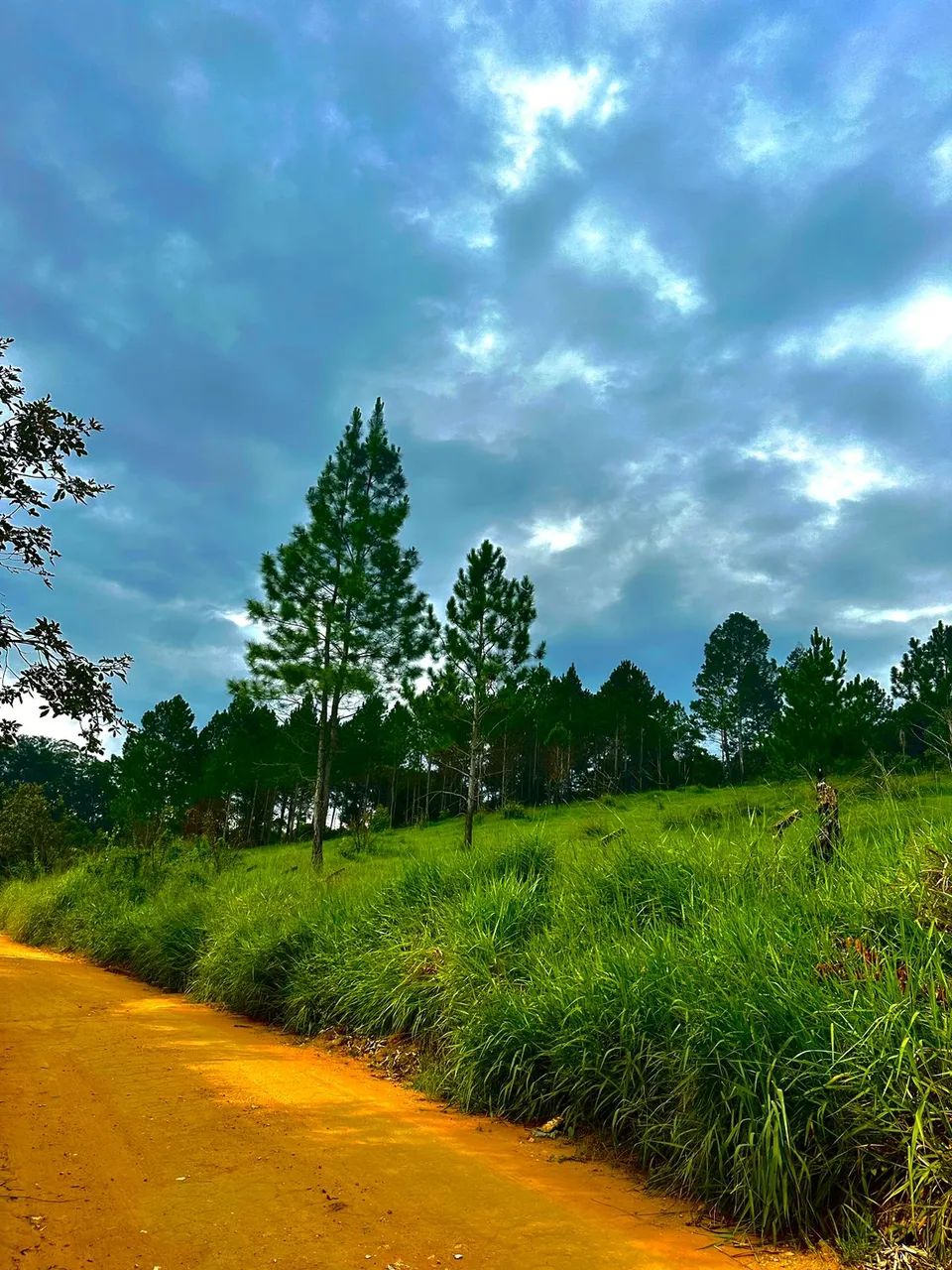 Recanto do Sábia: Lotes de 1.000m² com Vista Maravilhosa e Acesso Fácil! - Foto 7