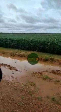 Fazenda à venda, por R$ 180.000.000 - Zona Rural - Ribeirão Cascalheira/MT - Foto 3