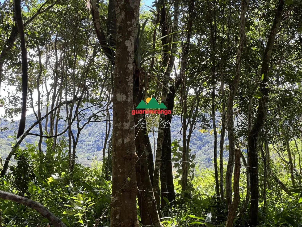 Terreno com vista panorâmica em Mulungu - Foto 3