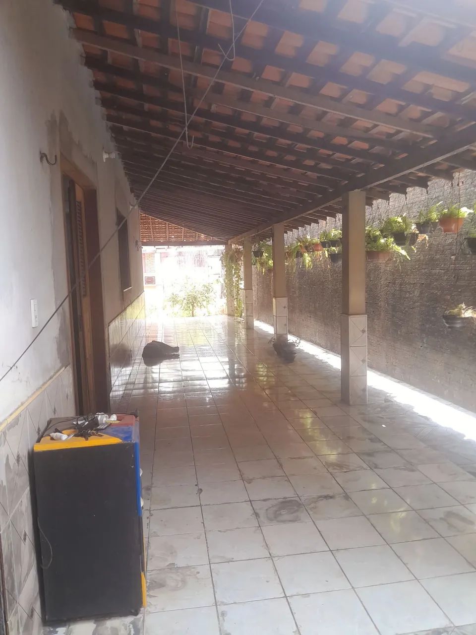 Sítio  - Foto 3