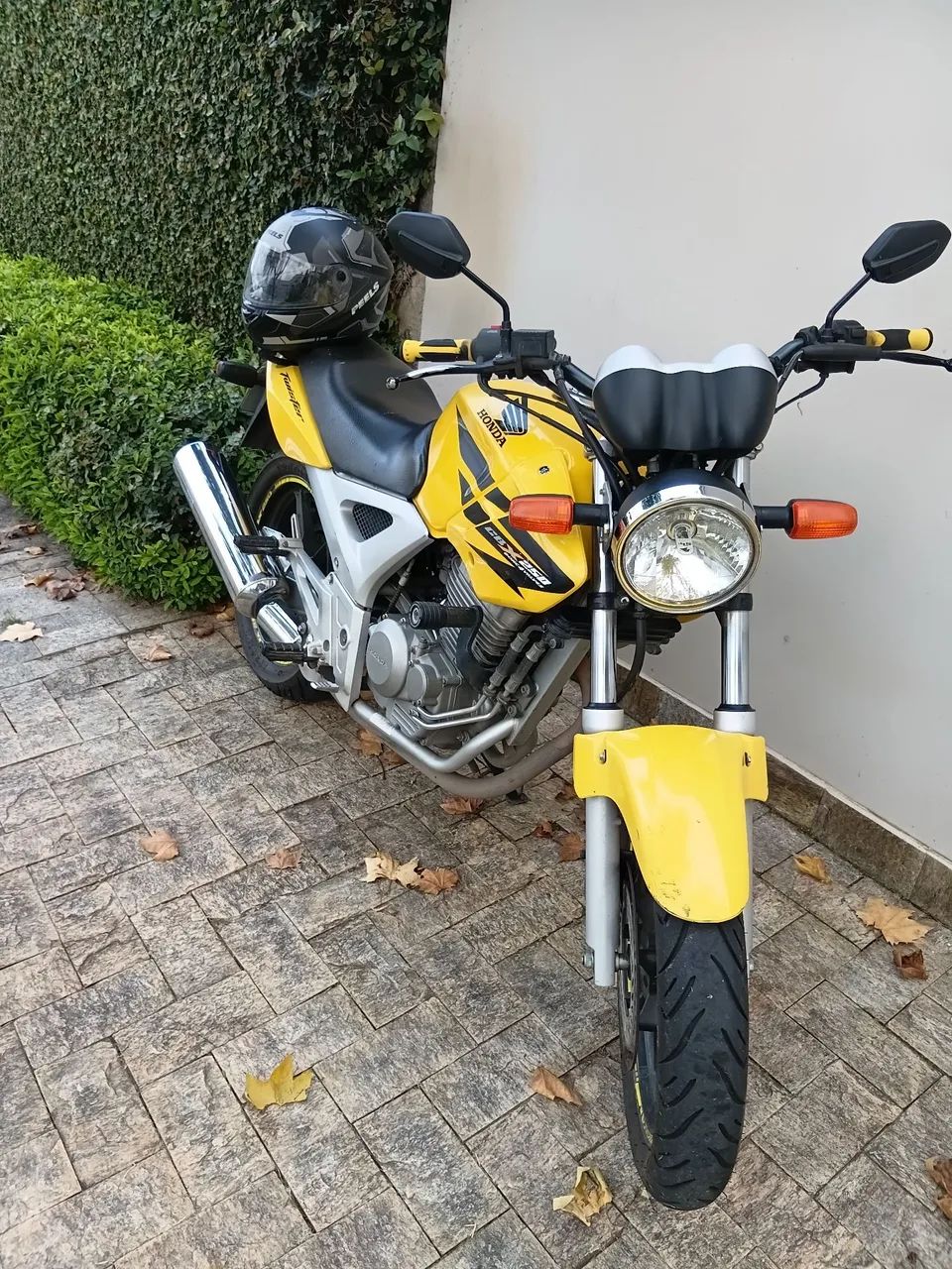 Conservadissima - Foto 2