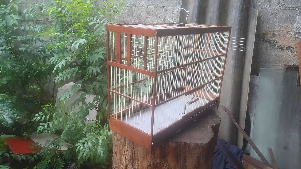 Gaiolas - Foto 5