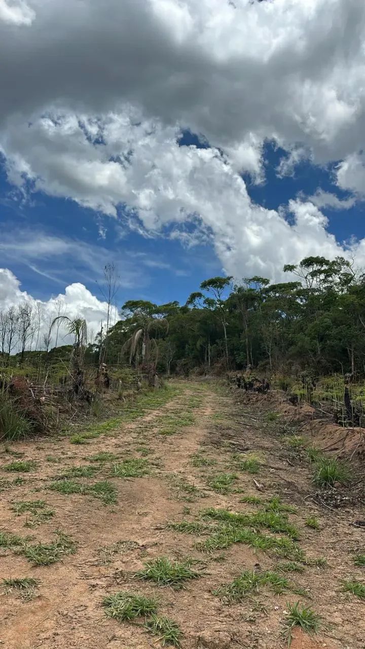 Invista hoje e tenha renda extra com aluguel de chalés. - Foto 4