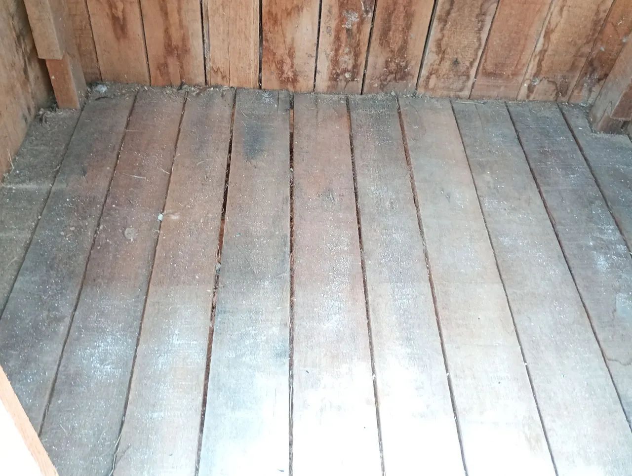 Casa para cachorro porte grande  - Foto 2