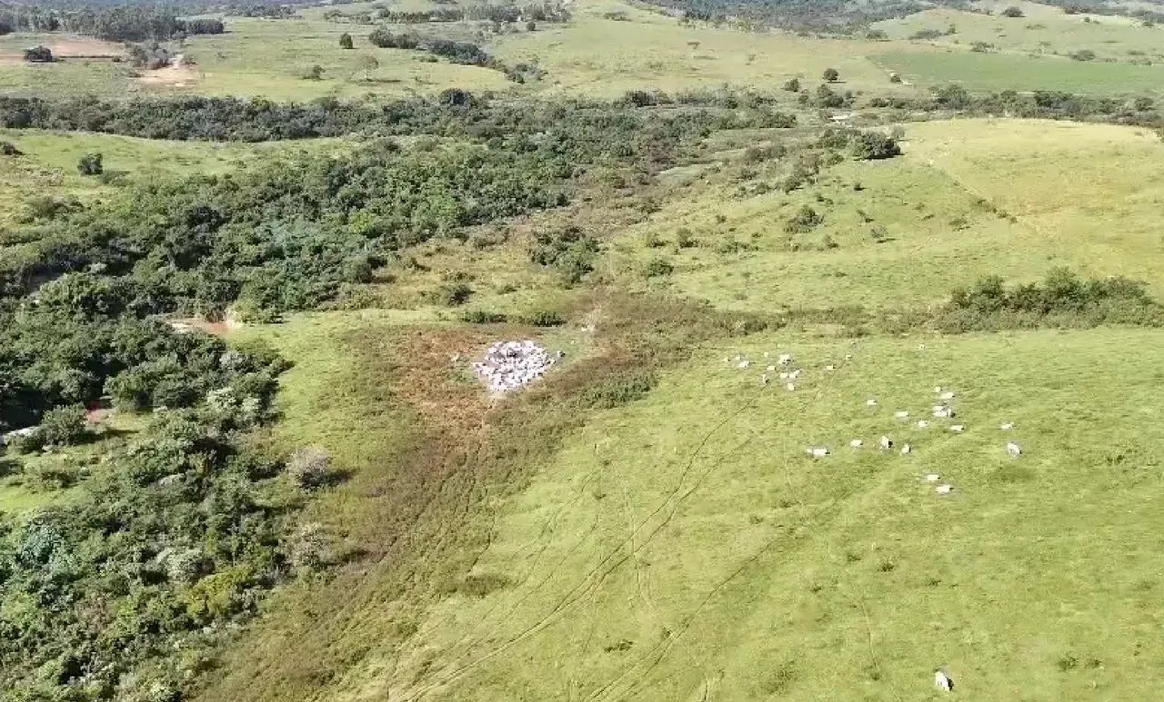 Fazenda a venda em SP. CENTRO OESTE. - Foto 3