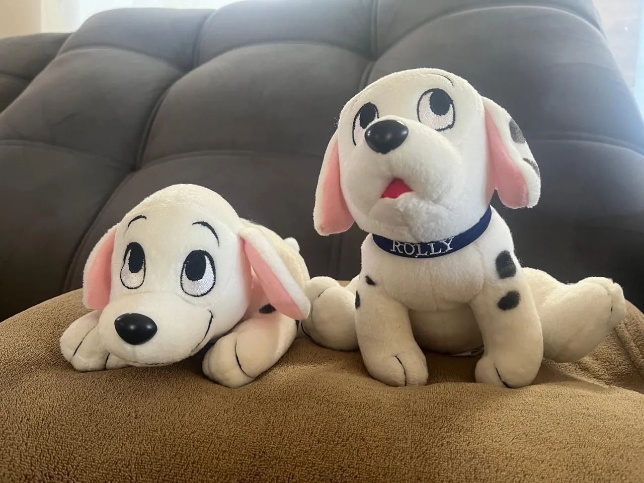 Dálmatas Penny e Roly - Foto 4