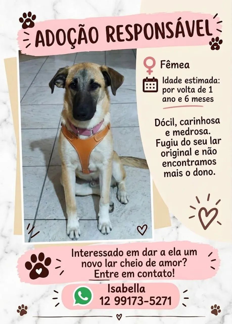 Adoção Responsável