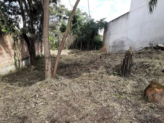 Lote Bairro Liberdade - 253,61 m² - Foto 3