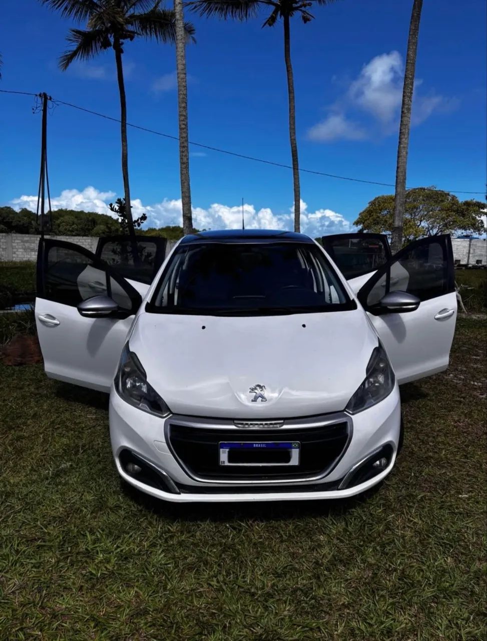 Peugeot 208 208 Allure 1.2 Flex 12V 5p Mec. 2017
