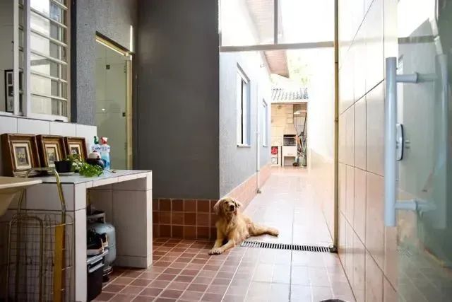 Casa com 3 dormitórios de 250 m² - Foto 3