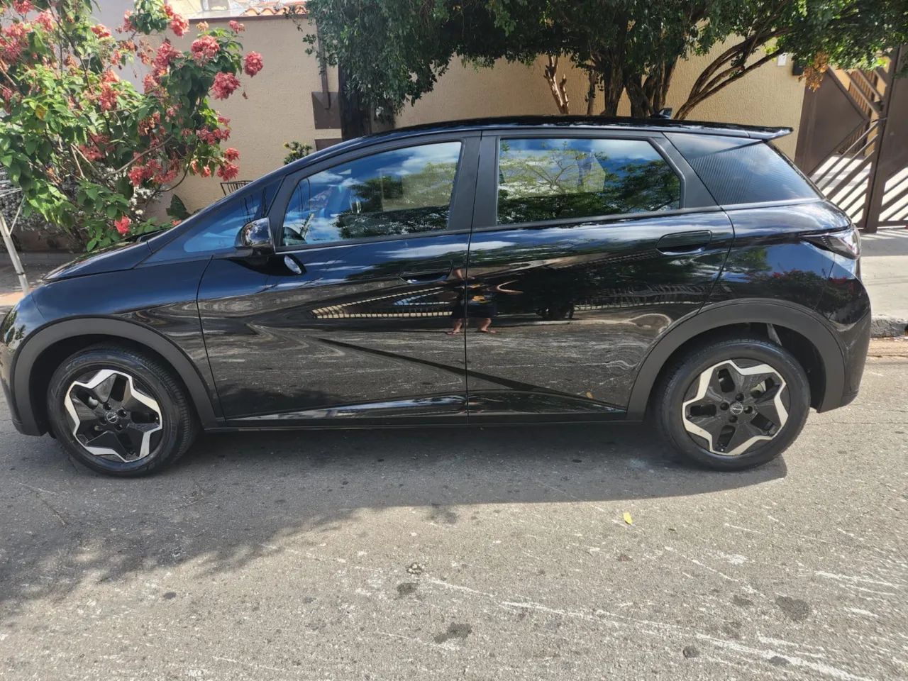 BYD Dolphin EV (Elétrico) 2024 - Foto 4
