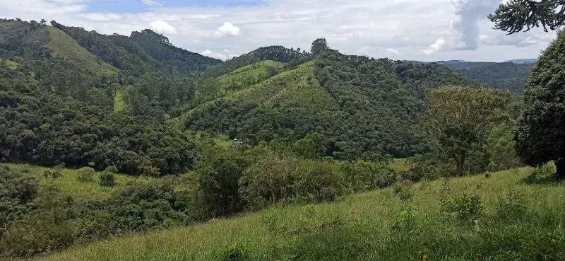 SÍTIO NA ESTRADA DO PARAIBUNA EM CUNHA-SP - Foto 2