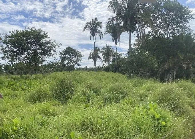 Imóvel em leilão - Foto 3