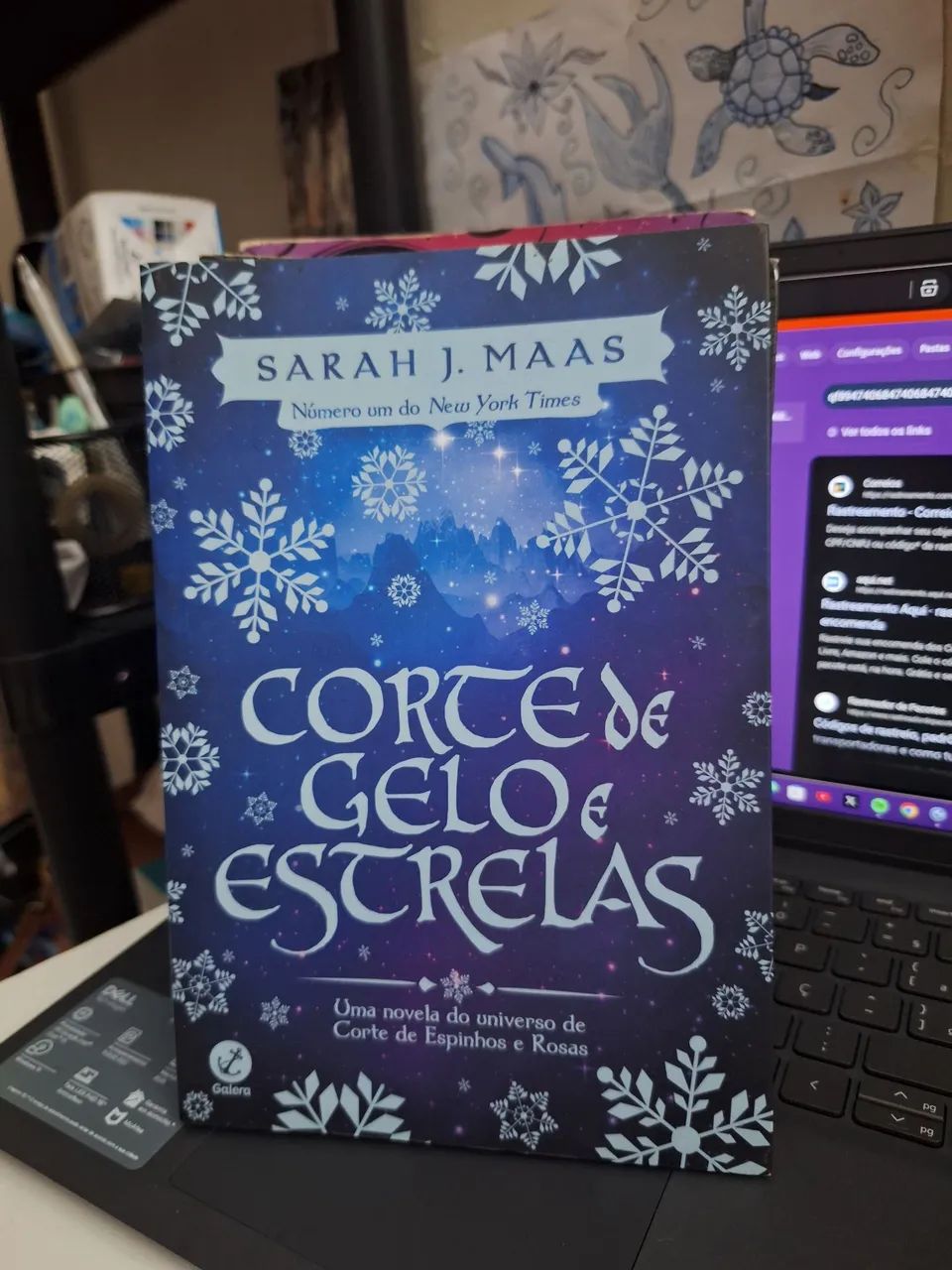 Coleção corte de rosa e espinhos  - Foto 5