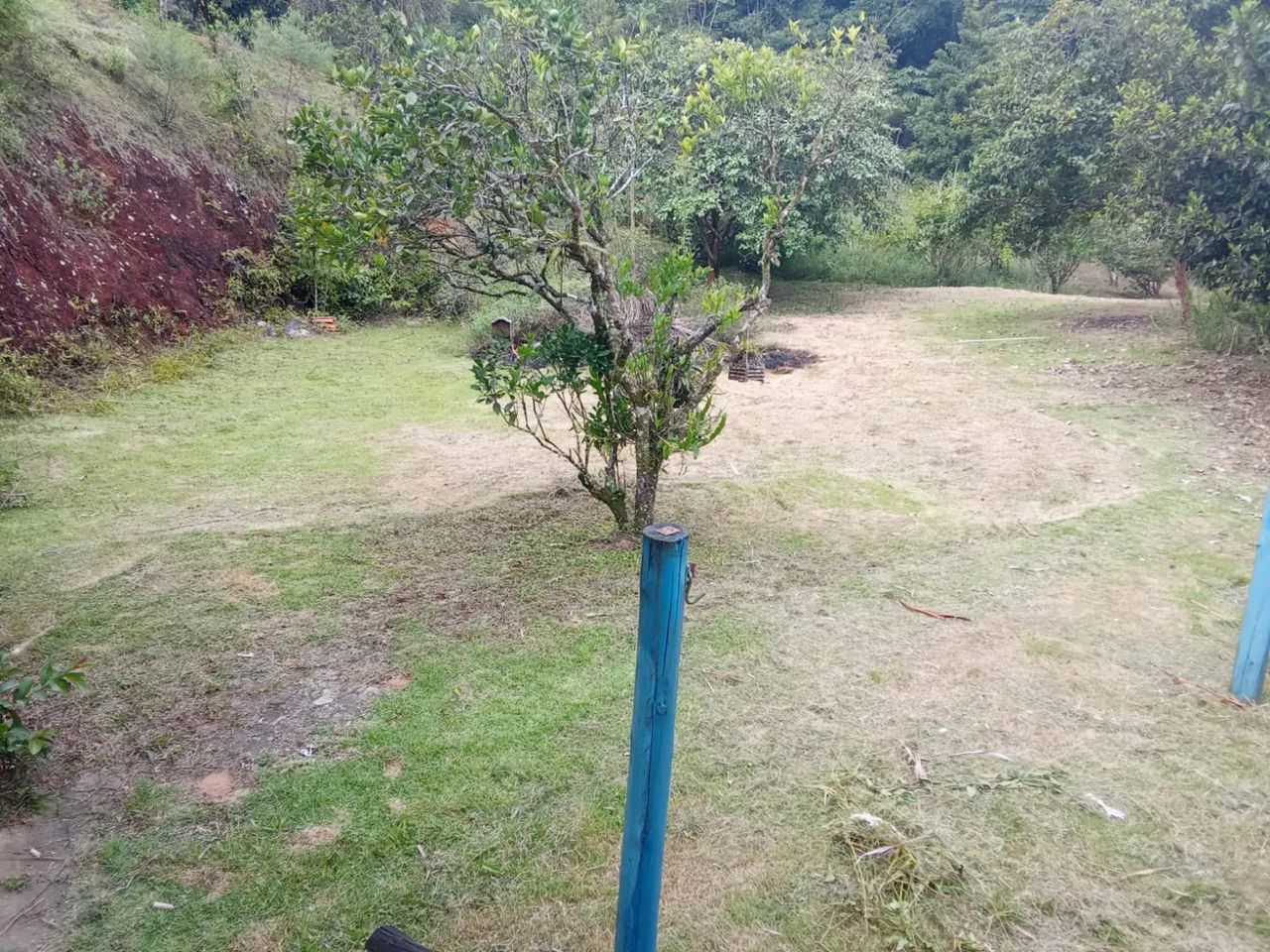 CHÁCARA STA LEOPOLDINA  - Foto 2