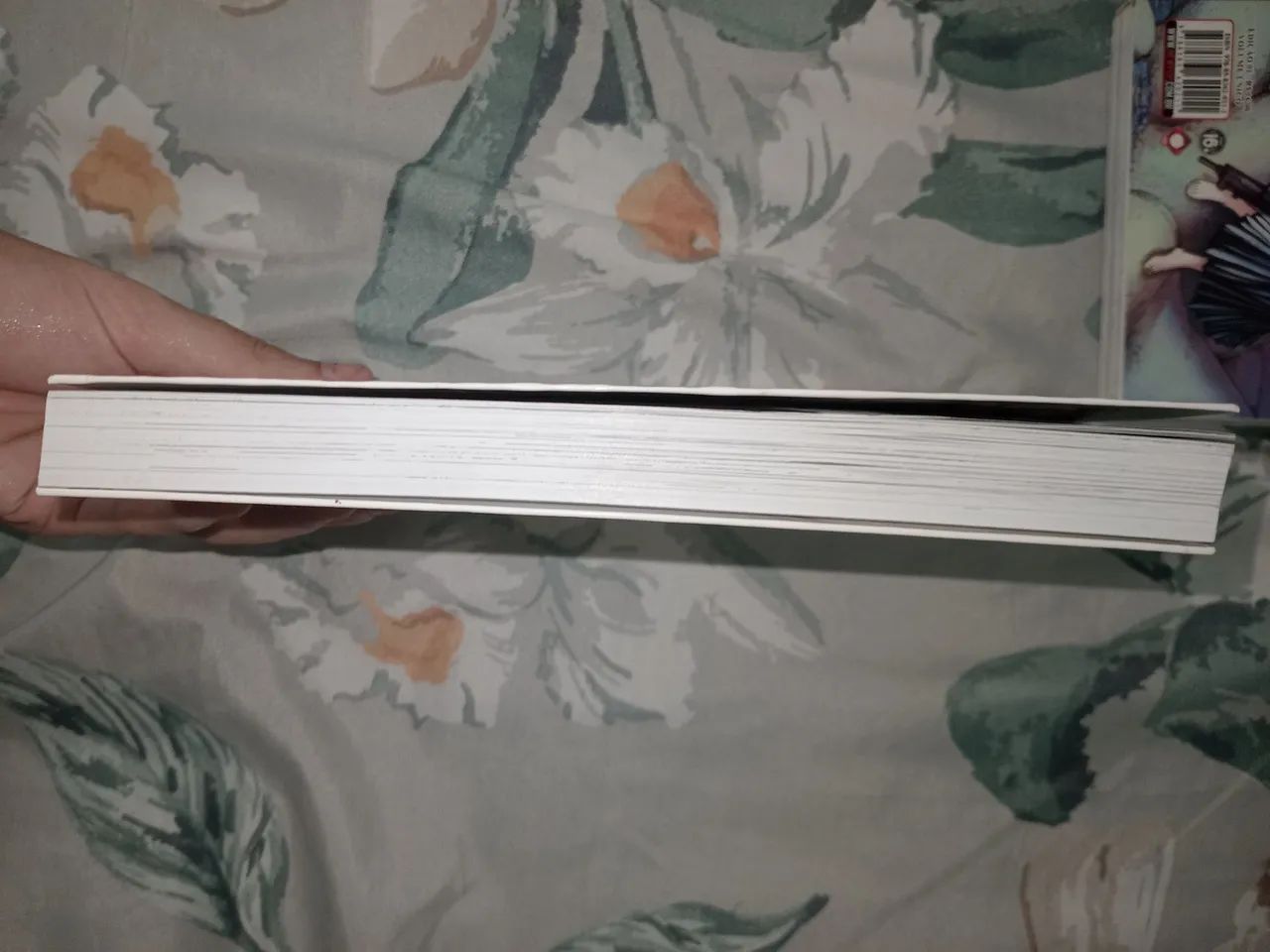Mangá a besta - Foto 4