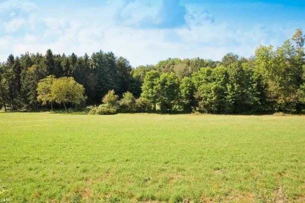 terreno 200.000m2 em limoeiro