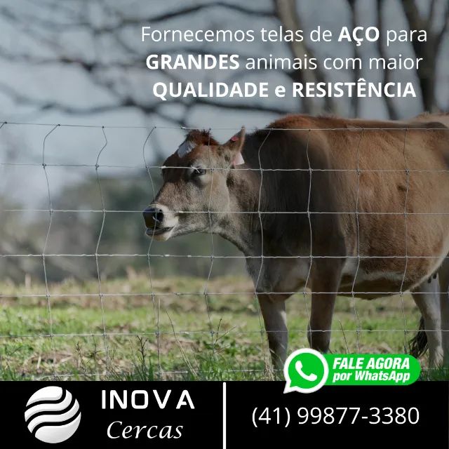 NOVIDADE - Tela de aço alambrado malha 10x20