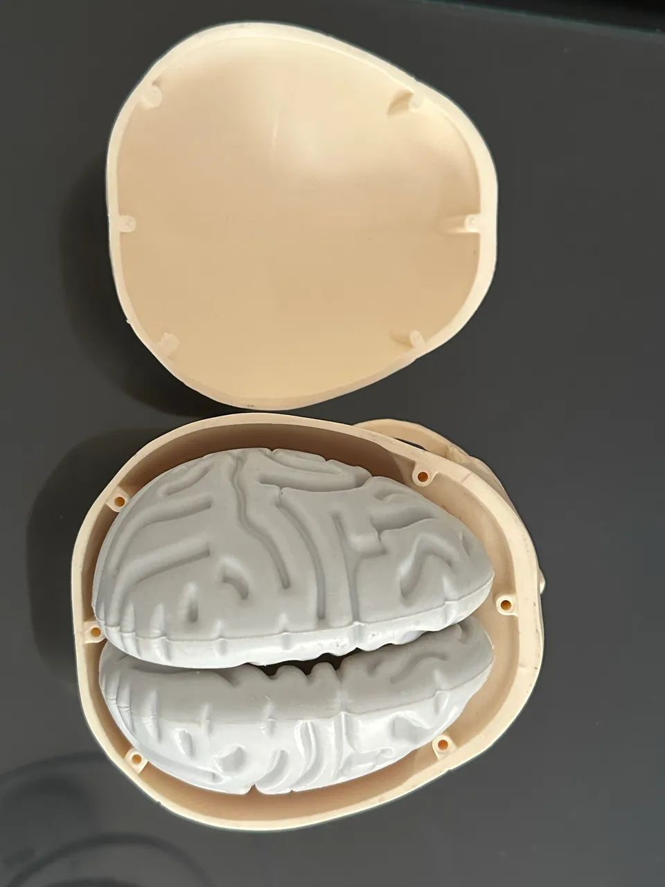 Caveira Crânio Salvat - Foto 4