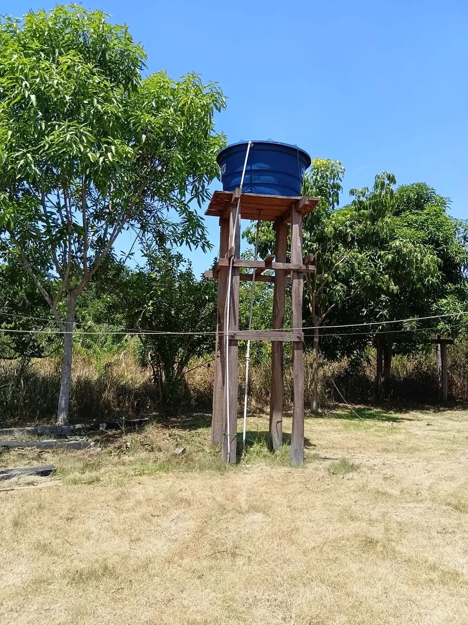 Vendo chácara no canta - Foto 4