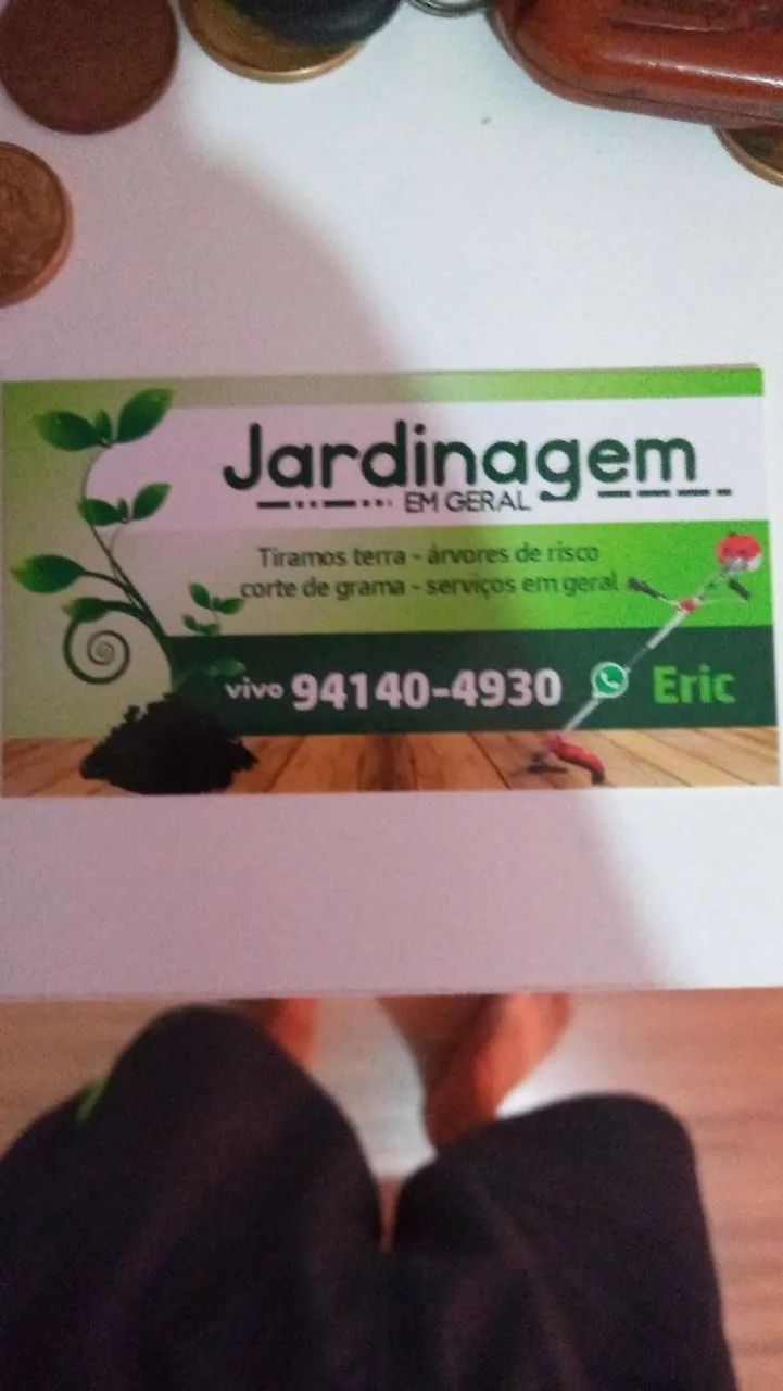 Poda de árvore e corte de árvore de risco 