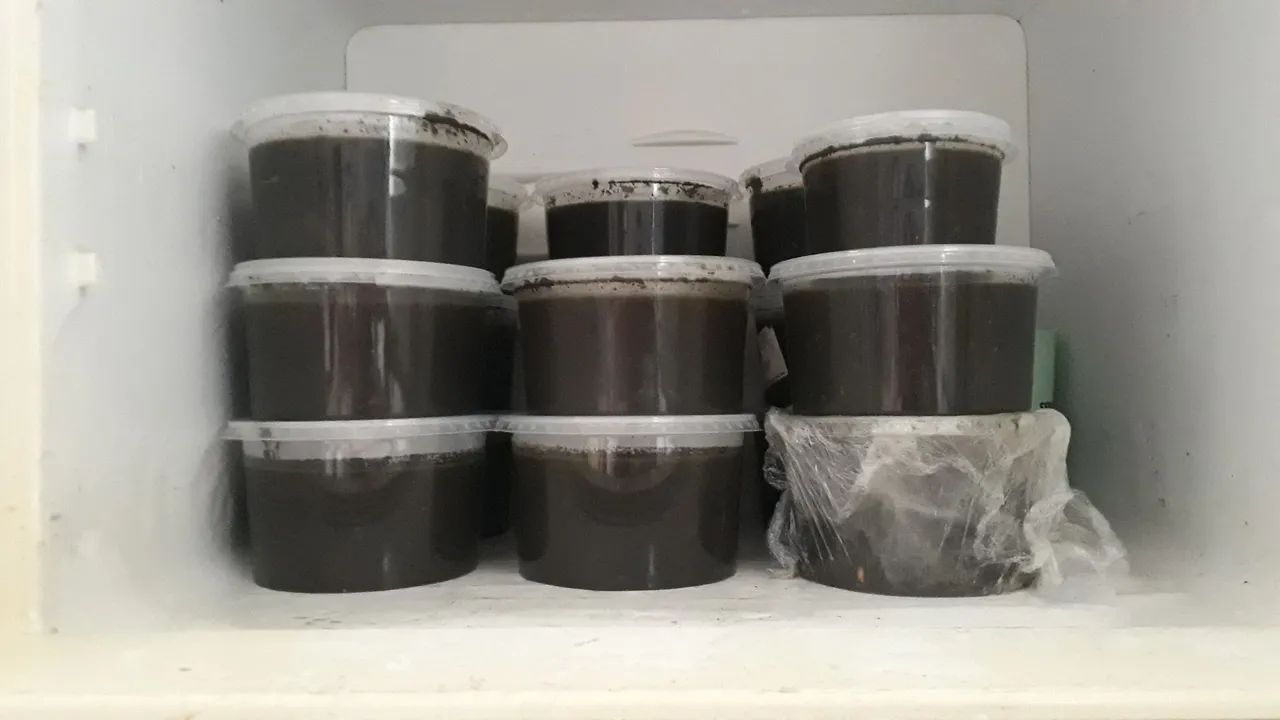 MANIÇOBA PRONTA! UMA DELÍCIA! APENAS 50,00