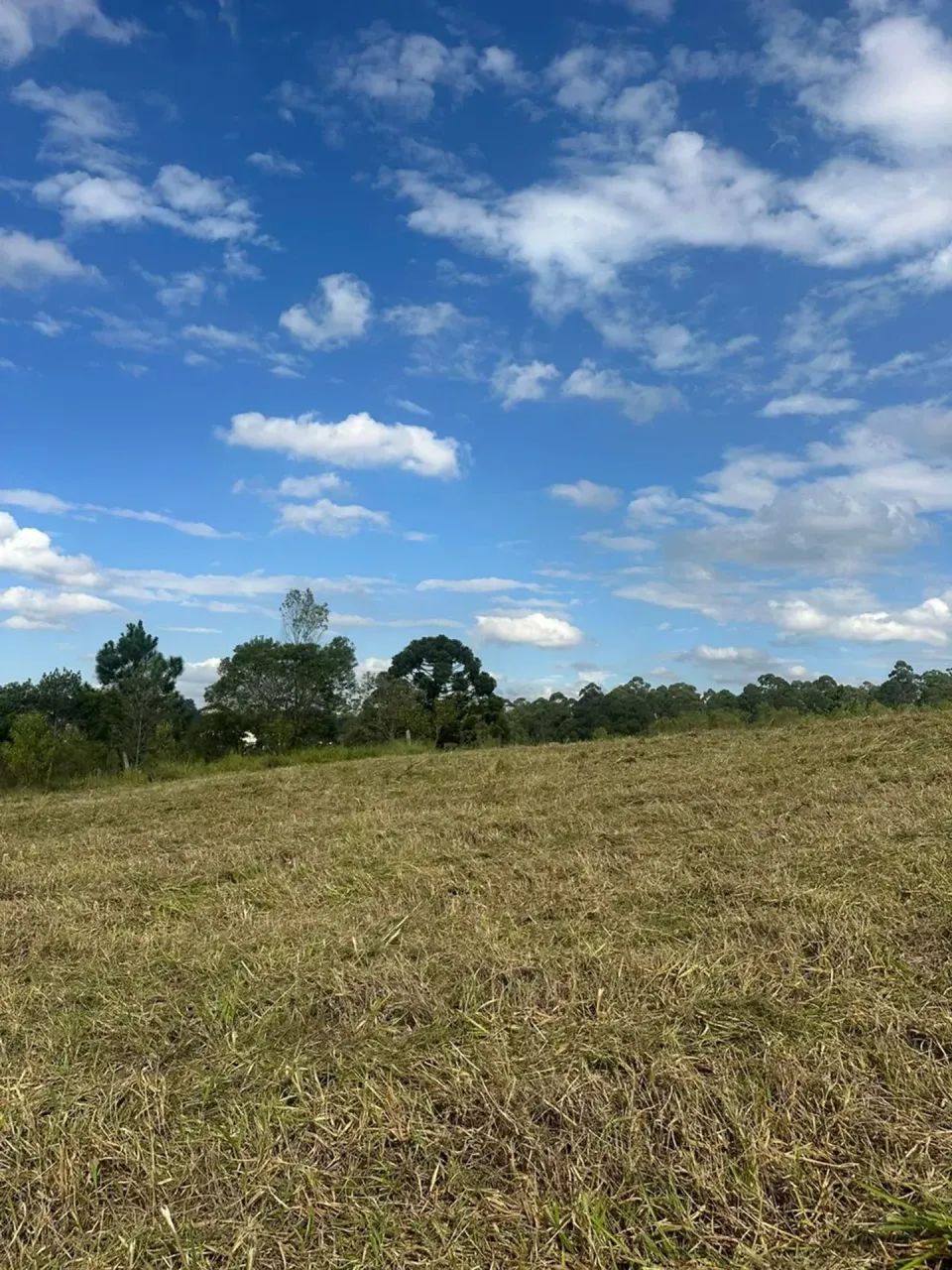 1.000m² em Mairinque/SP com condições imperdíveis - Foto 5