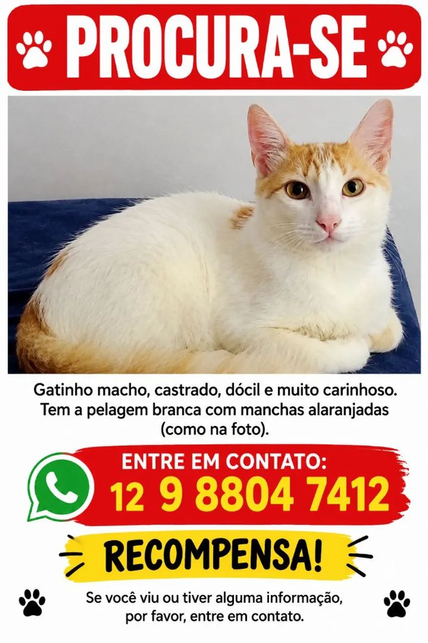 Desaparecido 