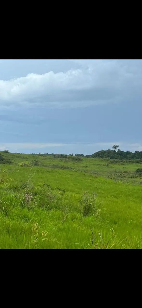 Fazenda região do pará  - Foto 4
