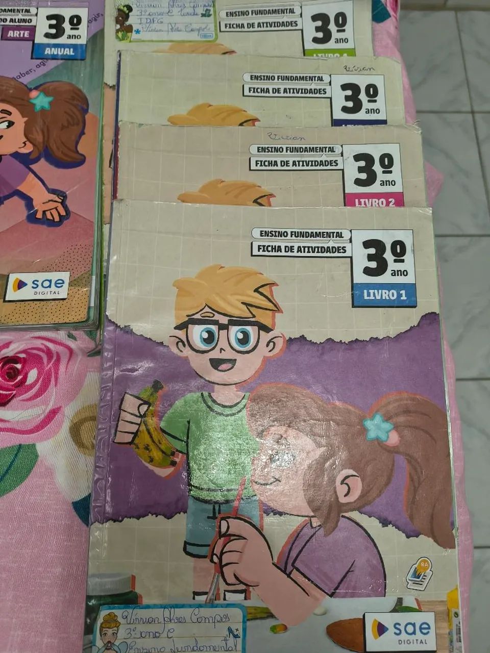 Coleção completa SAE 3 ano fundamental 65569093799554122