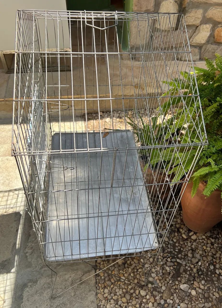 Gaiola grande  - Foto 3